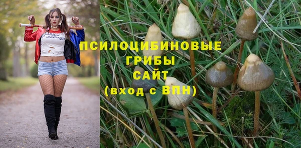 мдпв Пересвет
