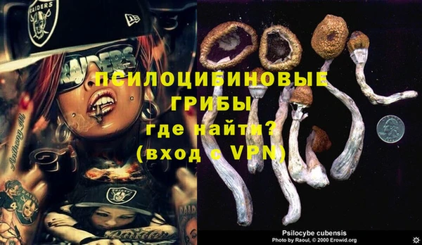 молекула духа Баксан