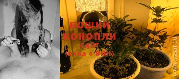 молекула духа Баксан